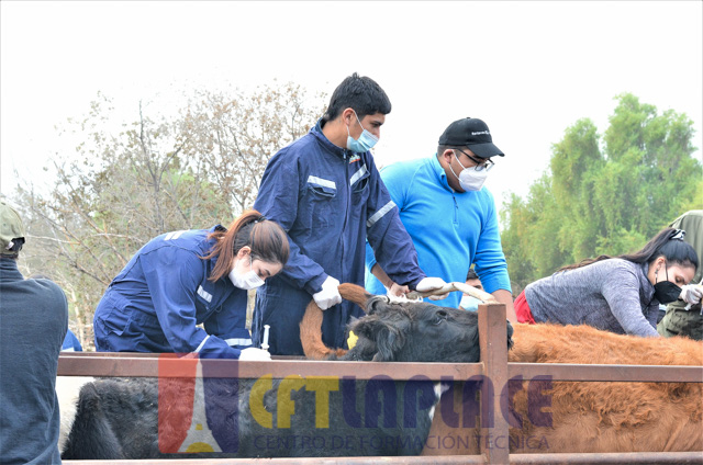 Estudiantes de la carrera TNS Veterinario.